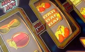 Grizzly Casino